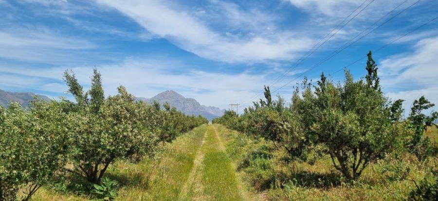 3 Bedroom Property for Sale in Tulbagh Western Cape